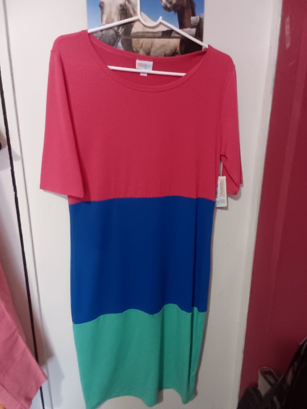Lulaloe Co!or Block Dress. Size Medium